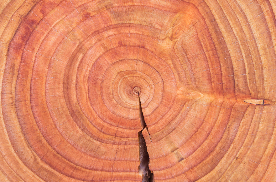 Waarom kiezen voor douglashout?